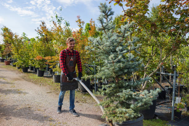 How Our Tree Care Process Works  in  Peshtigo, WI